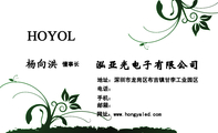泓亚光电子有限公司;懂事长;地址:深圳市龙岗区布吉镇甘李工业园区;电话:;手机:;邮箱:;网址:www.hongya...