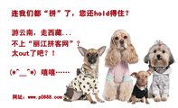 连我们都“拼”了,您还hold得住?;不上“丽江拼客网”?;太out了吧?!;(*^__^*) 嘻嘻……;网址:www.p088...