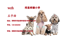 邱县明德小学;地址：邯郸市邱县信和佳苑3号楼3单元301;手机：130*****403;学校：邯郸市邱县明德小学二年级2...