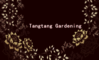 Tangtang Gardening;Tangtang Gardening;胡金茹;经理;地址：辽宁省陵园市XX区XXXX路XX号;堂堂园...