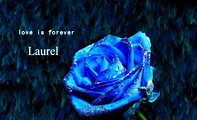 love is forever;职务;添加文字 ;Laurel;地址：蒲江县福祥街（三条街）79号;萝 拉 花 艺;邮编：611***0;网...