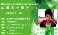 华康农业服务中心;农村经纪人;杨凡;地址:湖南省宁远县鲤溪镇白竹凼村;电邮 yfbaizud***@qq.com;手机:180...