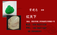 红天下;经理;地址:西安市南二环朱雀花卉商城21号;186-*****882;QQ:***686041;LOGO ;电话:029-*****...