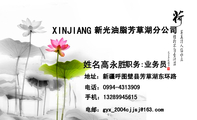 新光油脂芳草湖分公司;职务:业务员;地址:新疆呼图壁县芳草湖东环路;电话:0994-*****09;手机:132*****615...