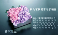 秋为茗铁观音专家销售;网售;地址:中国茶都安溪朝阳村26号;电话:0595-*****677;手机:0151*****865;电邮:...