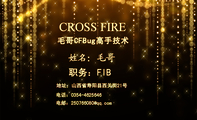 毛哥CFBug高手技术;职务:FIB;地址;山西省寿阳县西关街21号;电话:0354-*****46;电邮:250766***@qq...