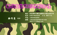 老战友数码影像服务社;社长;地址:阿拉善孪井滩生态移民示范区四村2号;电话:0483-*****09;邮箱:159*****6...