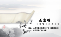 聂康明;地址:上海市复兴东路1121号(西藏南路口);老西门茶广场212室 ;139*****590;3344 Network Techno...