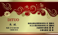 迪拓品牌运营管理有限公司 董事长;水立方酒店管理有限公司 董事长;永盛国际电影城 董 事 ;五堰电影院 董 事...