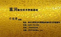 畜牧技术养殖基地;经理;地址：潍坊市寒亭区河滩镇富润畜牧技术养殖基地;电话：0536-*****39;手机：150*****...